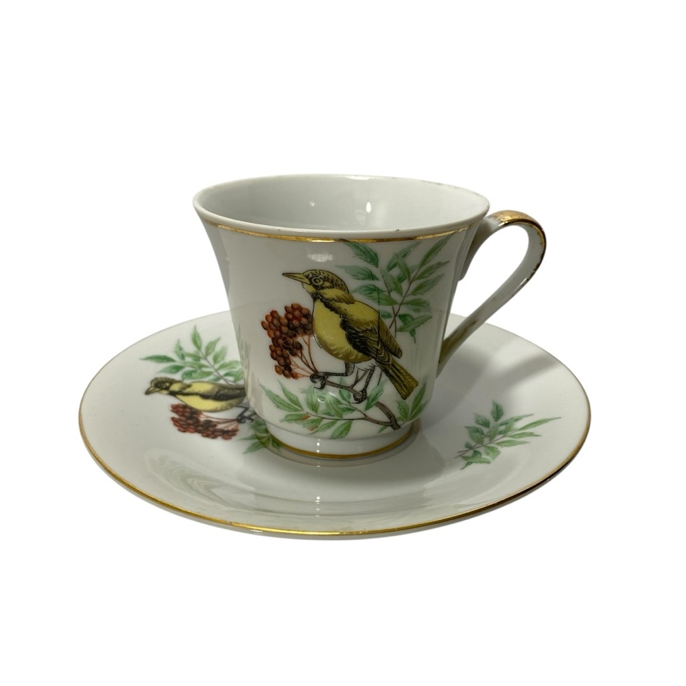 Vintage Mid Century Artwear Teacup‎ Saucer Bachmans Warbler Bird Lover Japan